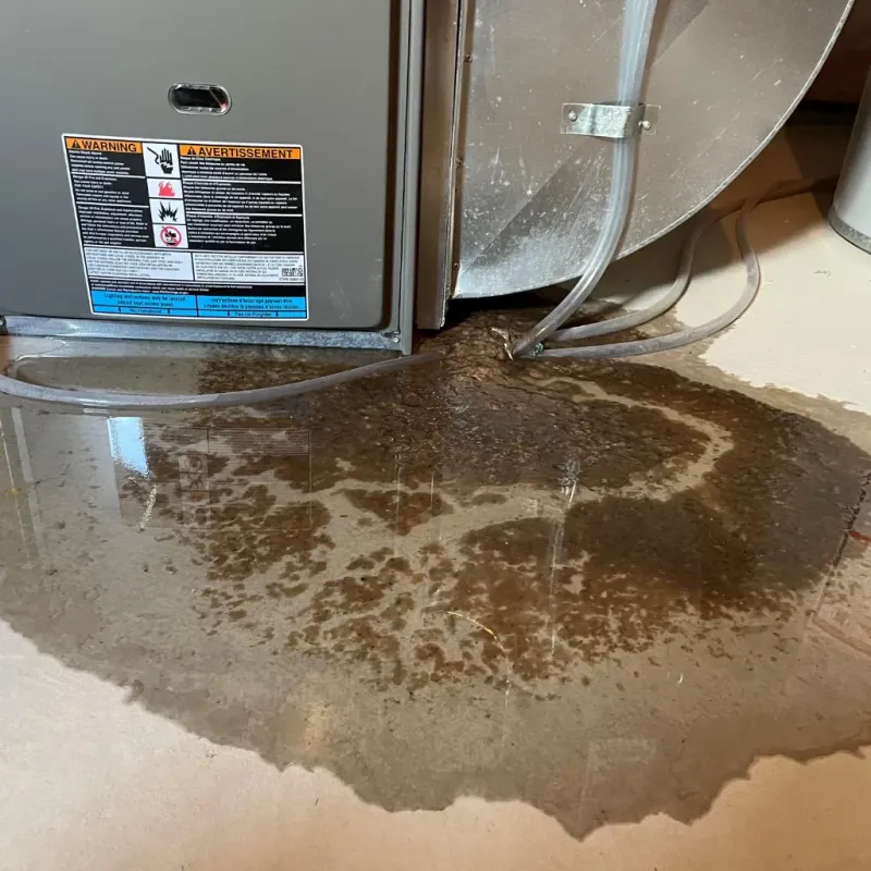 Appliance Leak Cleanup in Leland, NC